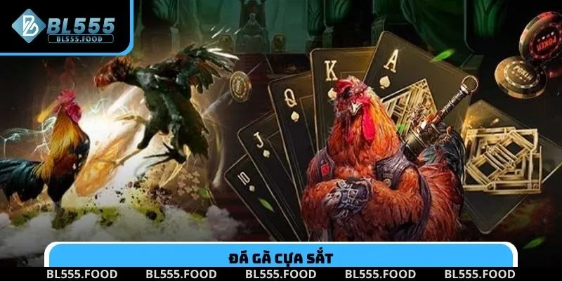 Đá gà cựa sắt